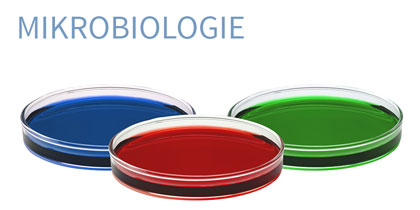 Mikrobiologie Text