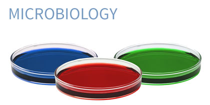 Mikrobiologie Text EN